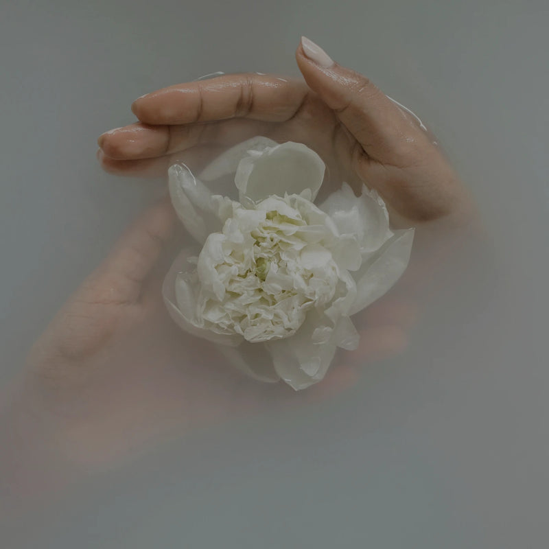 A serene scene featuring flower-infused water and meditation stones, symbolizing a balanced approach to holistic wellness that nurtures mind, body, and spirit with luxurious care.